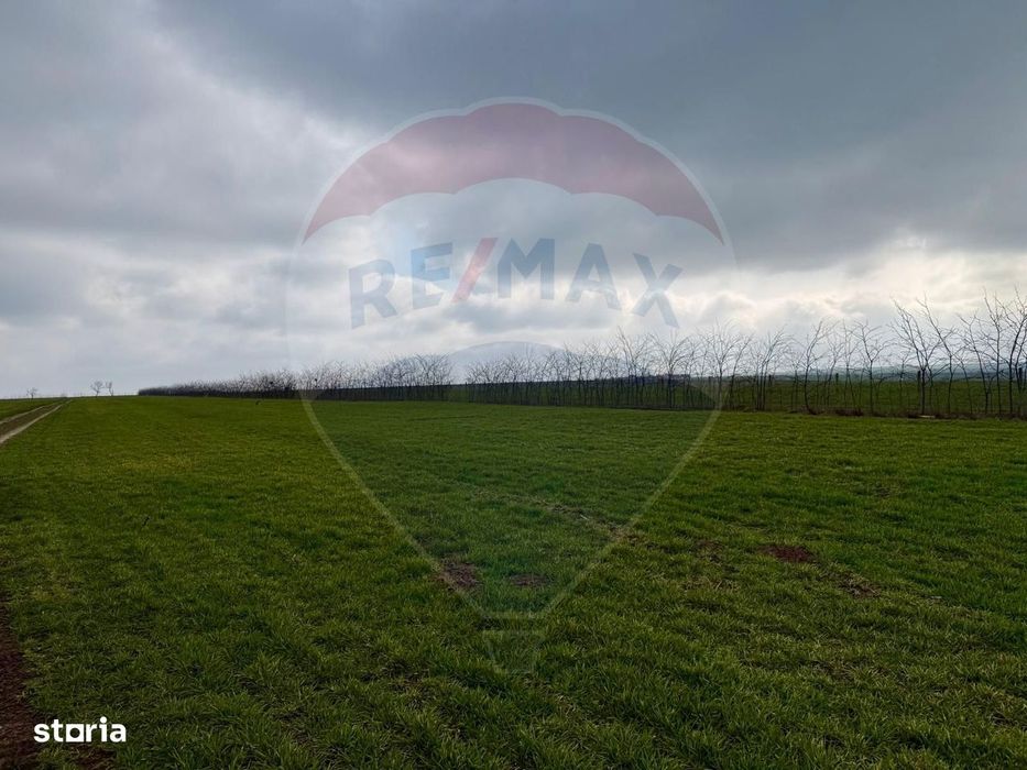 Teren extravilan Săcele ideal pentru silozuri, fermă sau investiție