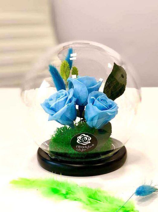 Trandafiri criogenati albastri