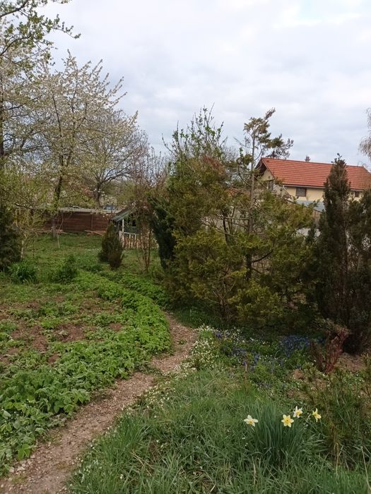 Vand (schimb) casa in Hunedoara,str. Romanilor nr 37
