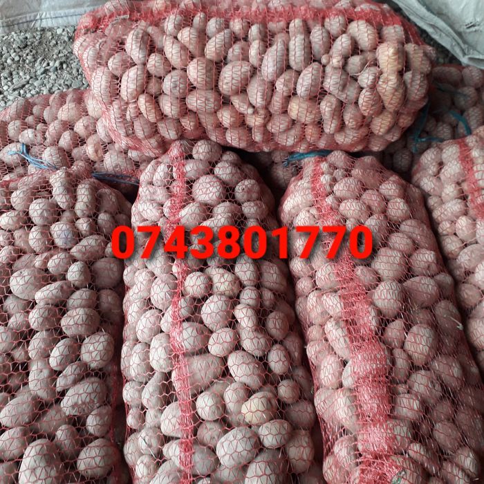 Vand cartofi pentru animale