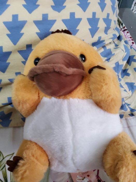 Продам  зко аксай