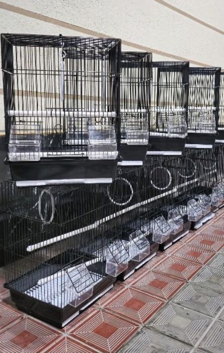 Попугай комбо комплект