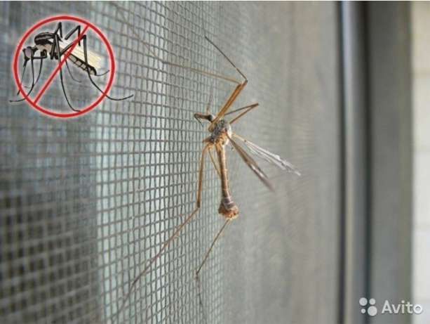 Москитные сетки жалюзи.