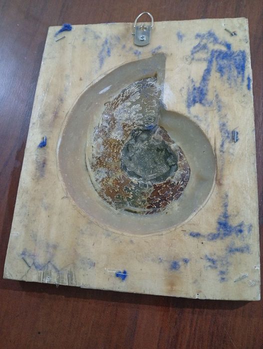 Кадимий чиганок (Аргинал))