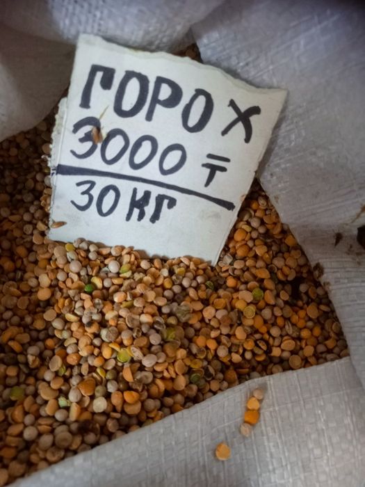 Еда для животных и птиц Костанай