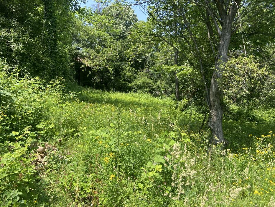 Парцел в Княжево