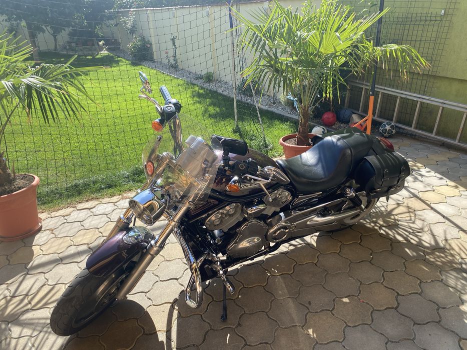 Harley Davidson V ROD, an 2005, km 51900, evacuare Rinehart