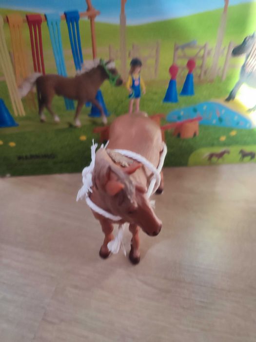 Cai schleich foarte bine îngrijit