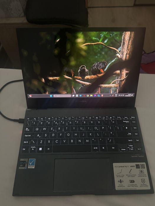 Asus Zenbook Flip 13 - Ecran Oled