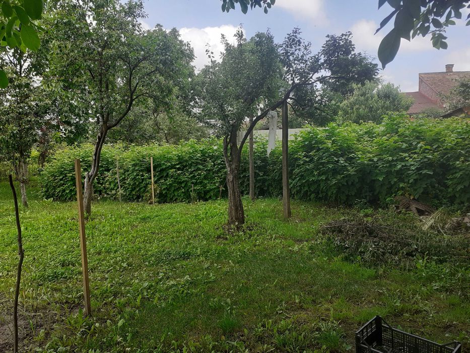 Casă de vănzare cu livada de pomi fructiferi!