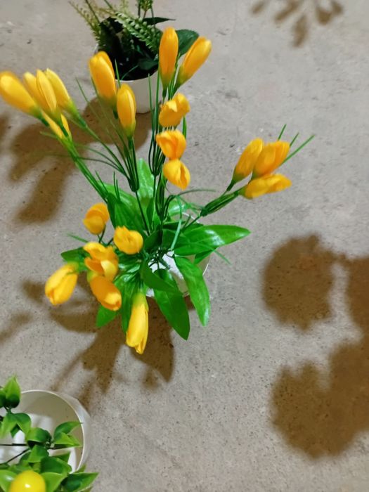 Tuvakdagi Suniy Gullar