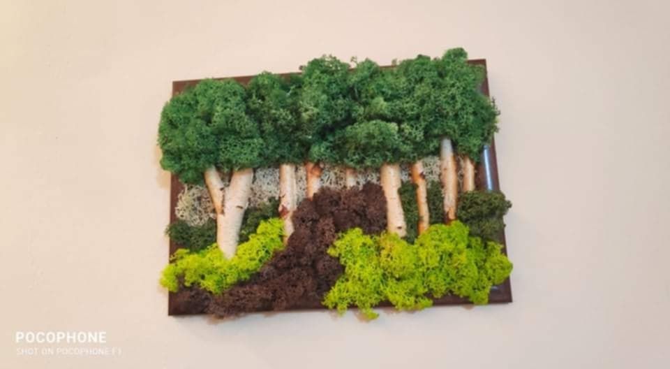 Картини от скандинавски мъх - природа във вашия дом