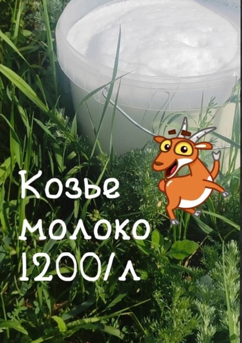Молоко козье с доставкой