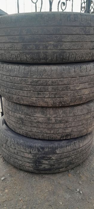 Продам шины NEXEN