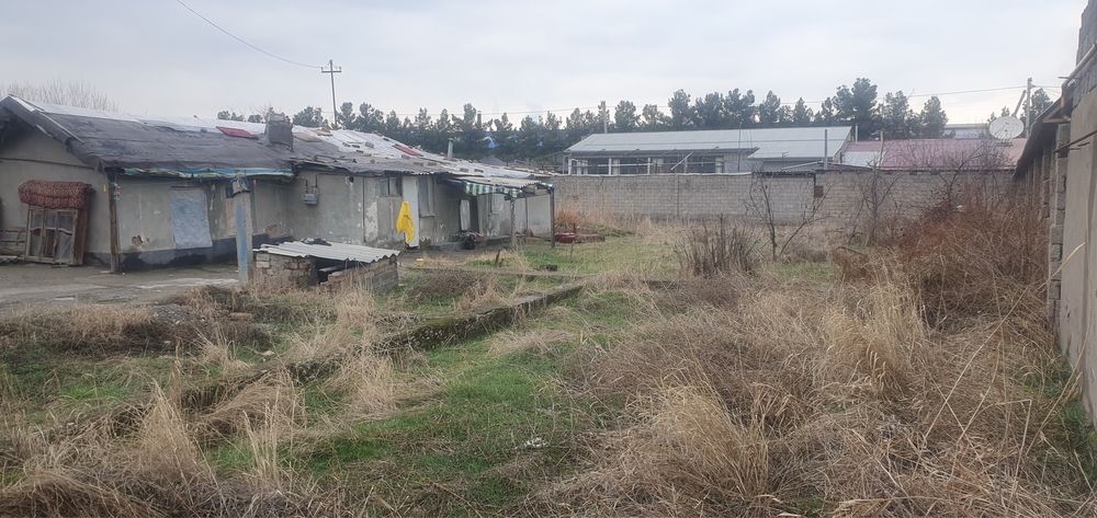 Участок на Нилуфар