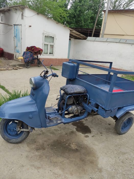 Срочно продаю муравей