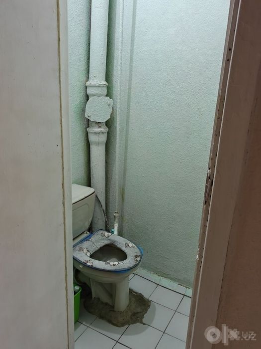 Кибрай Саниф 2в3/1/3/50² 47200