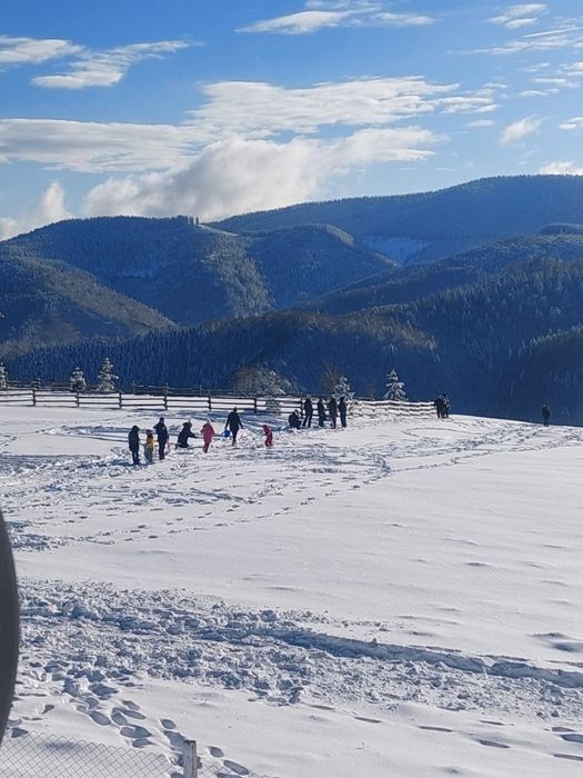 Închiriez cabana Păltiniș  jud Sibiu
