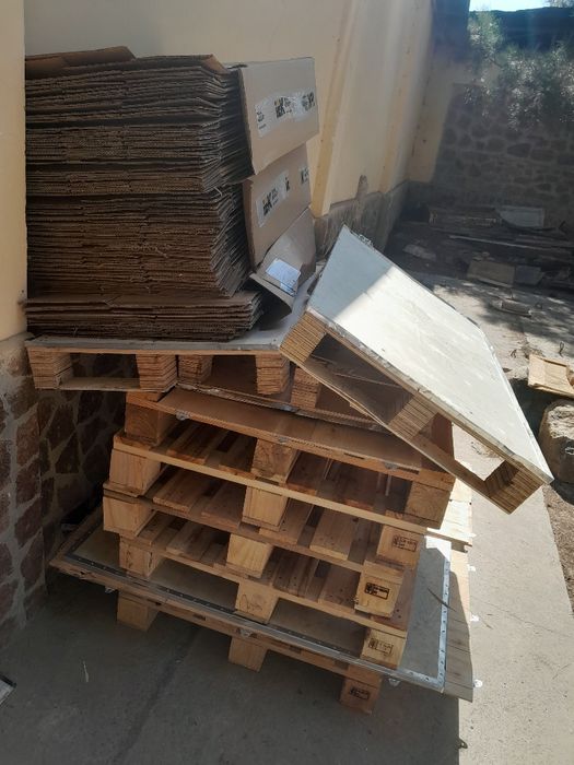 Paddon bor yangi narxi 50 000 dan