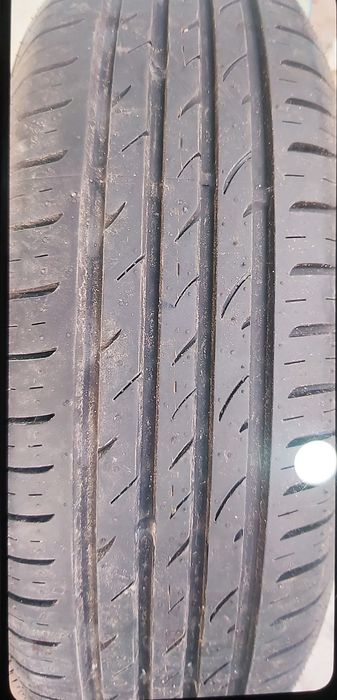 Летняя резина Nexen