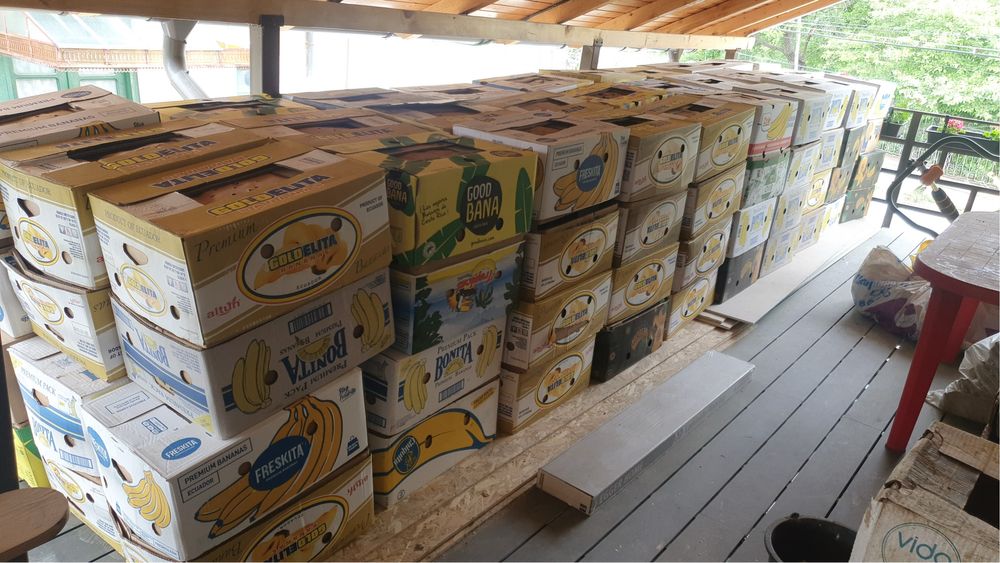 Baxuri cutii de banane noi toate
