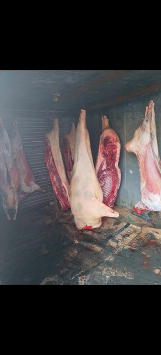 МЯСО деревенское свинина