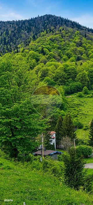 Teren intravilan 2500mp | Zărnești | Parcul Național Piatra Craiului