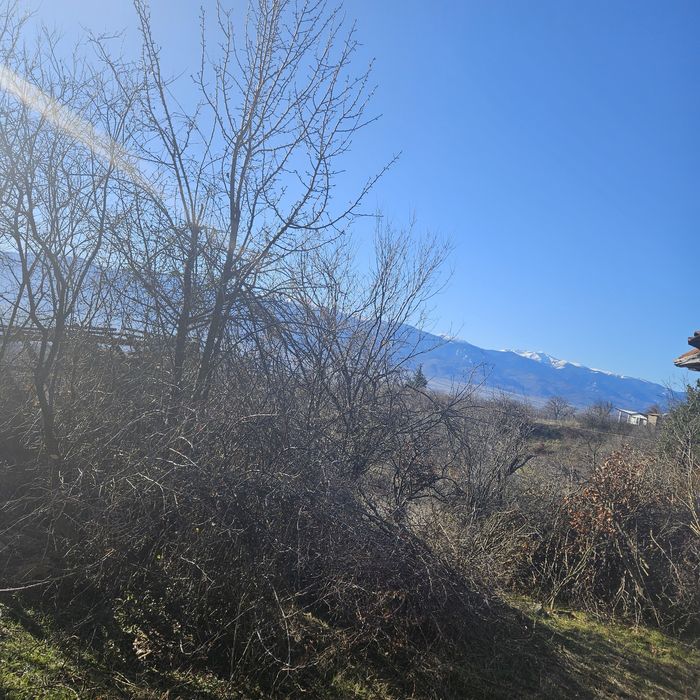 Парцел в Горна василица