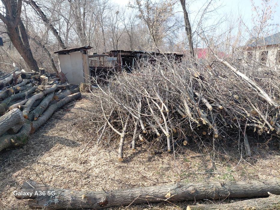 Отдам дрова бесплатно