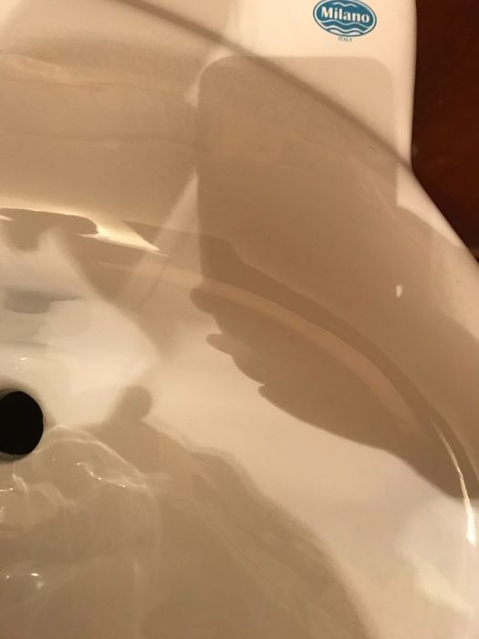 Раковина тюльпан