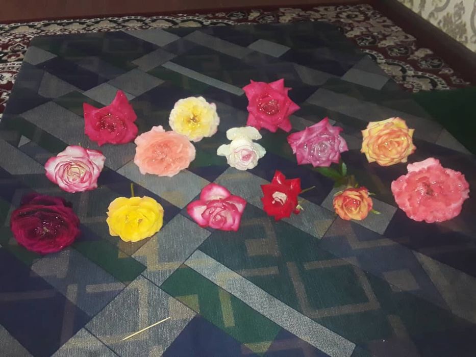 Розый бутонами и корнями