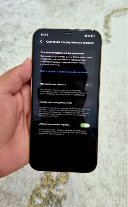 iPhone 12 Pro Max / 256 GB