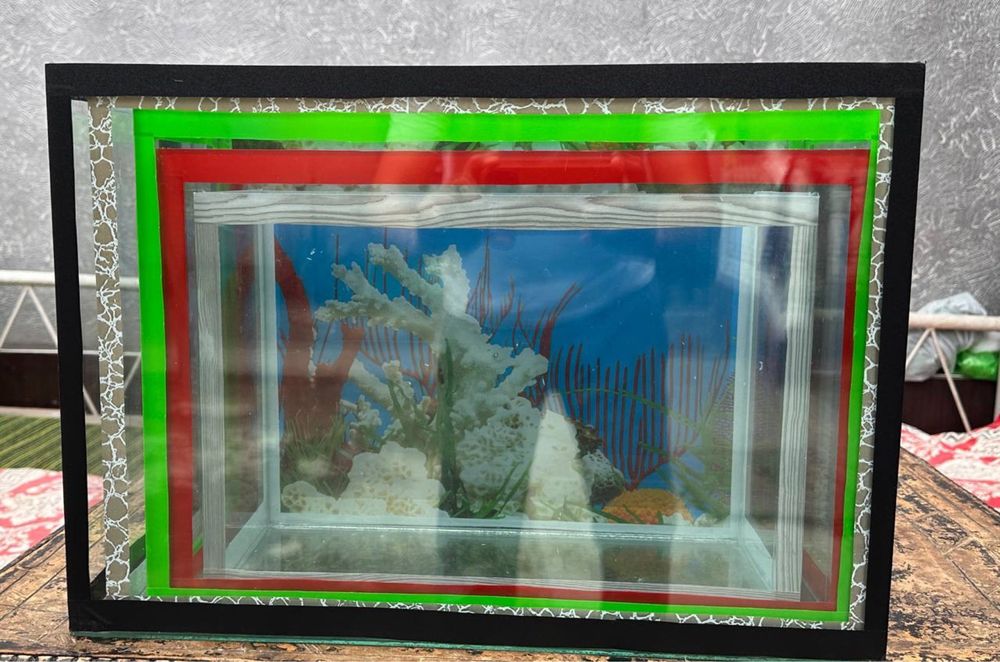 Аквариумлар ва стеллаж