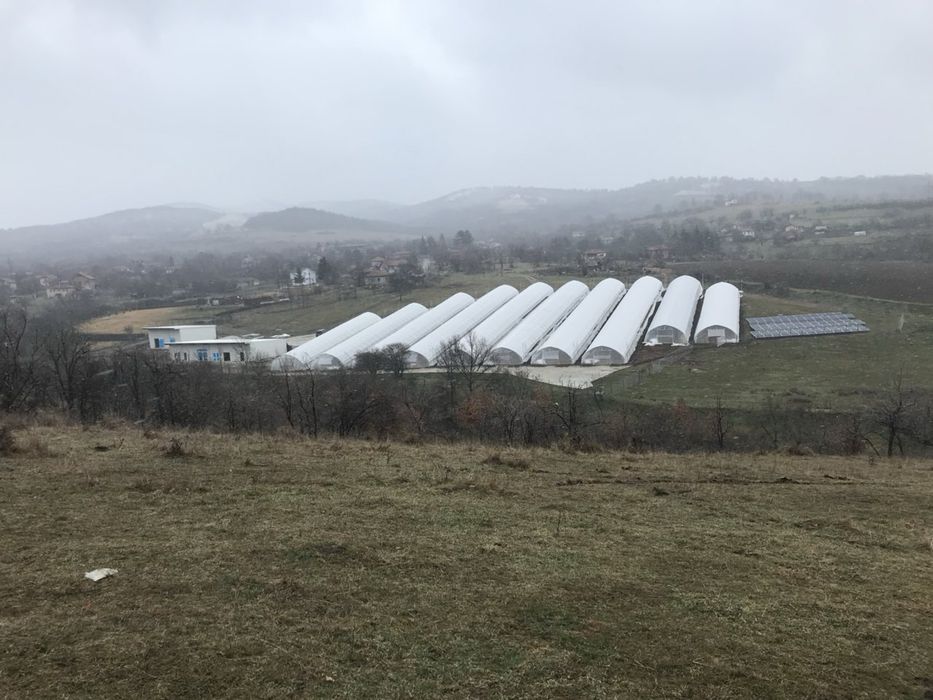 Тунелни оранжерии - Комплекс