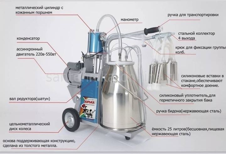 Доильный аппарат зорька