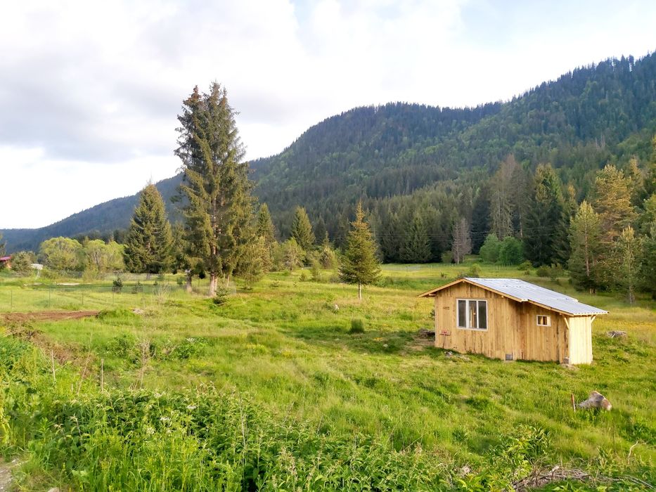 Продава се Парцел в Сърница - 1500 кв.м за 34 €/кв.м - Снимка #4