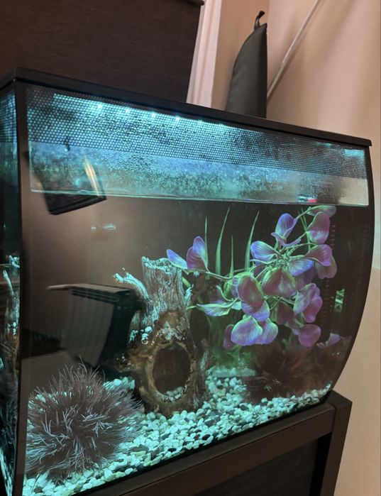 Аквариум Fluval 57л