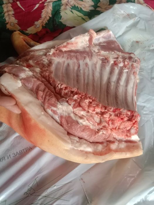 Продам домашнее свиное мясо