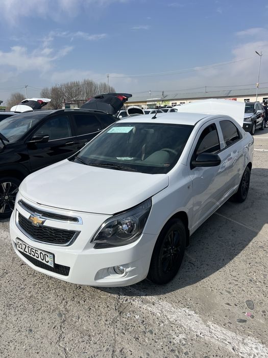 Cobalt 2025 Malibu Bar Gaz Propan Ideal