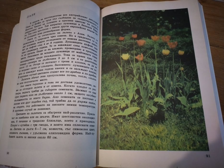 Енциклопедия за растения и животни