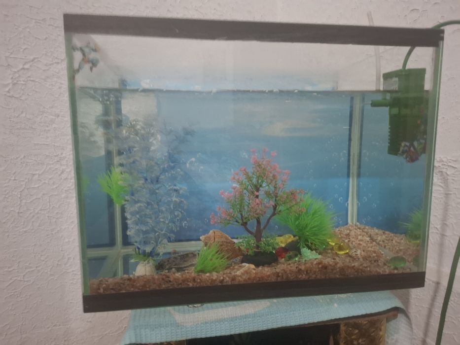 Продаю аквариум .