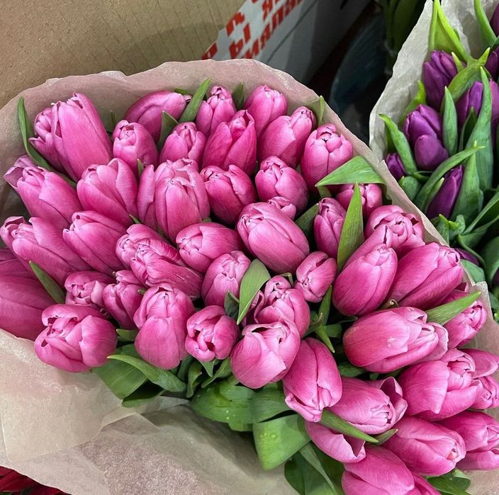 Тюльпаны с луковицами