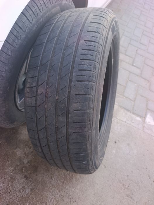 Шина летняя roadx