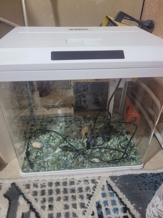 Аквариум  продаётся