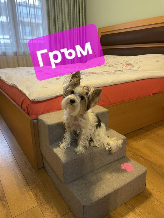 Продавам стълби за домашни любимци