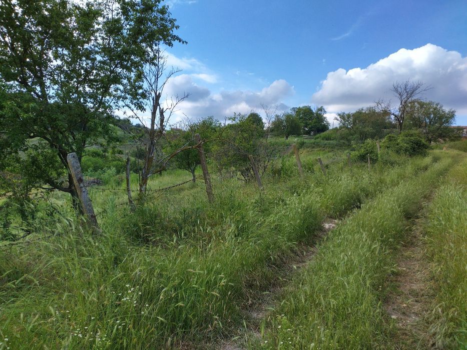 » Парцел във Варна област » с.Калиманци »