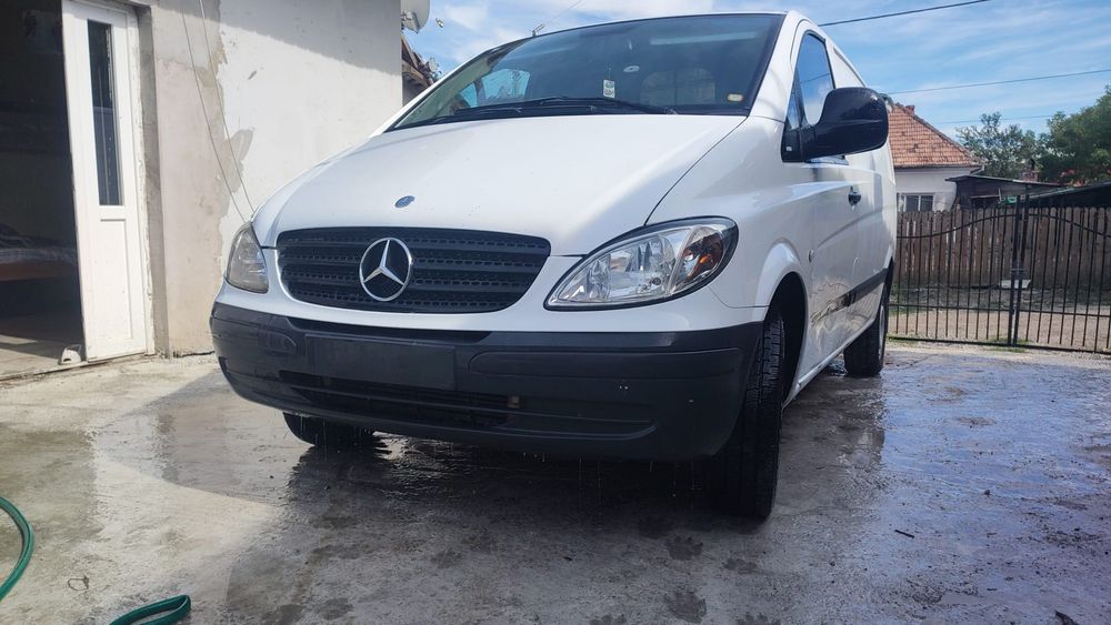 Tinichigerie vopsitorie