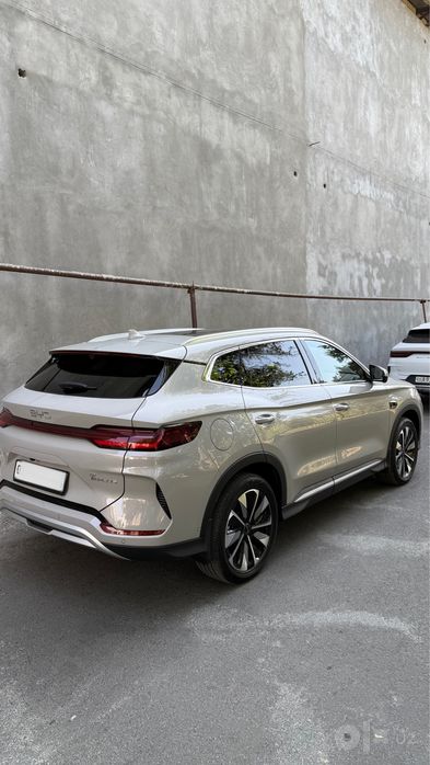 Byd Champion Smart