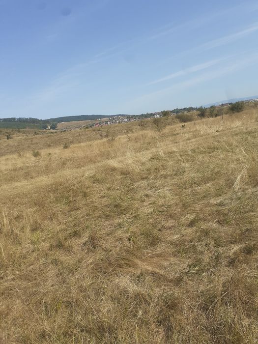 Teren Codlea Brasov