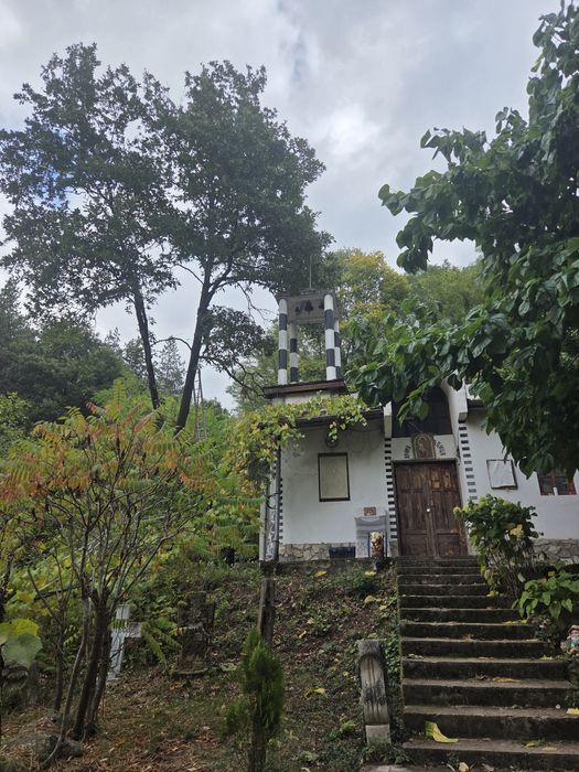 Рязане и кастрене на опасни дървета